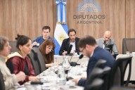 Caso $LIBRA: dos funcionarios faltaron a la comisión investigadora en Diputados