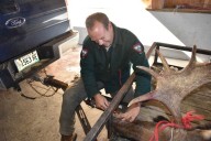 How to avoid making common moose