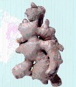 ¿El jengibre puede realmente aliviar el malestar estomacal?