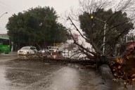 Lluvia deja dos personas arrastradas y más daños