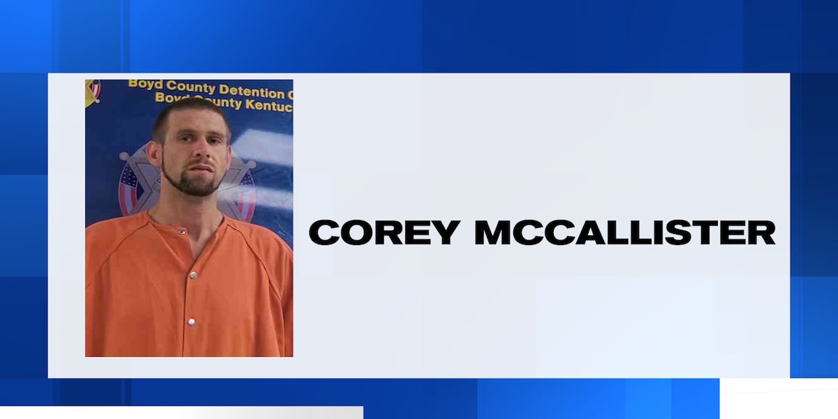 Man arrested for cutting down phone lines