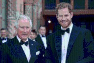 Prince Harry reunion with King Charles was not ‘Treaty of Versailles’