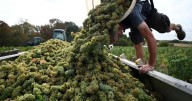 EU to propose Mercosur trade deal, facing France