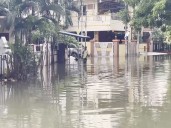 Telangana: Heavy rain causes waterlogging in Mithila Nagar Colony