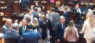 “No me grités”: se picó en el Senado en la votación por una reforma con polémica