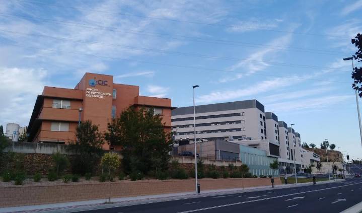 Salamanca abre nuevas vías terapéuticas para un cáncer hepático de mal pronóstico