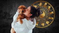 Weekly Chinese Horoscopes Are Here For Each Zodiac Sign From September 15