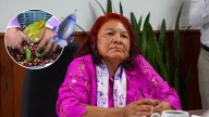 La diputada de Morena que propuso nave espacial para llevar café de Veracruz a Marte: ¿Quién es?