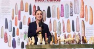 Anuncian programa “Sin maíz no hay país” para impulsar producción con bienestar