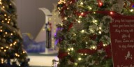 ‘Festival of Trees’ goes home