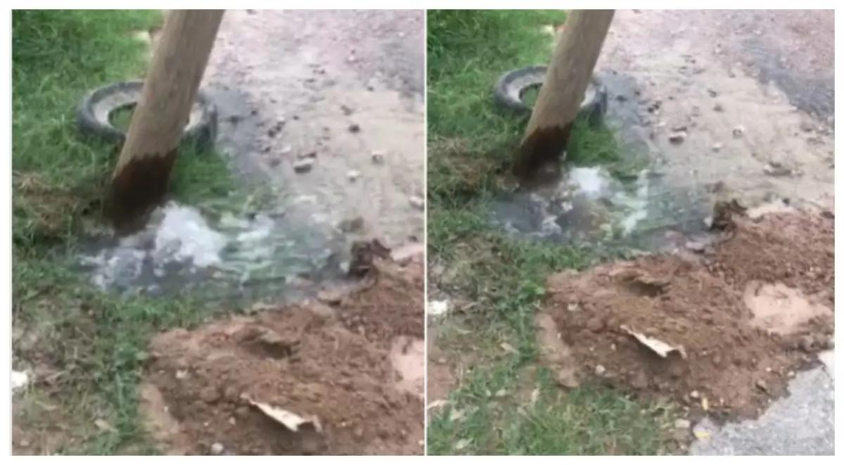 Vecinos denuncian fuga de agua en Lomas del Calvario, Puerto Vallarta