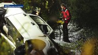 Person, dog rescued another dog dies after pickup truck crashes into Mass. river