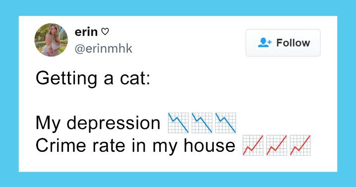 48 Pics Of ‘Cats With Jobs’ That Prove There Isn’t Anything Felines Can’t Do