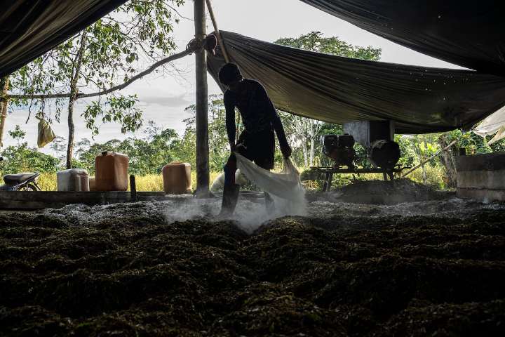 Dos militares, heridos tras un intento por quemarlos vivos en la destrucción de un laboratorio de cocaína en Putumayo