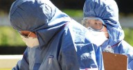 State lifts its biosecurity game as pest threats grow