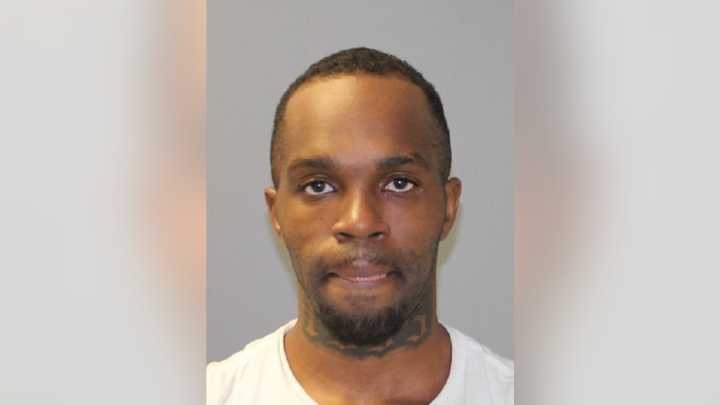 Villa Park man charged after allegedly brandishing gun at Elmhurst homeowner: authorities