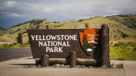 Hombre de 29 años herido en ataque de oso en el Parque Nacional de Yellowstone