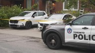 Toronto family works together to fight off men attempting to steal their car