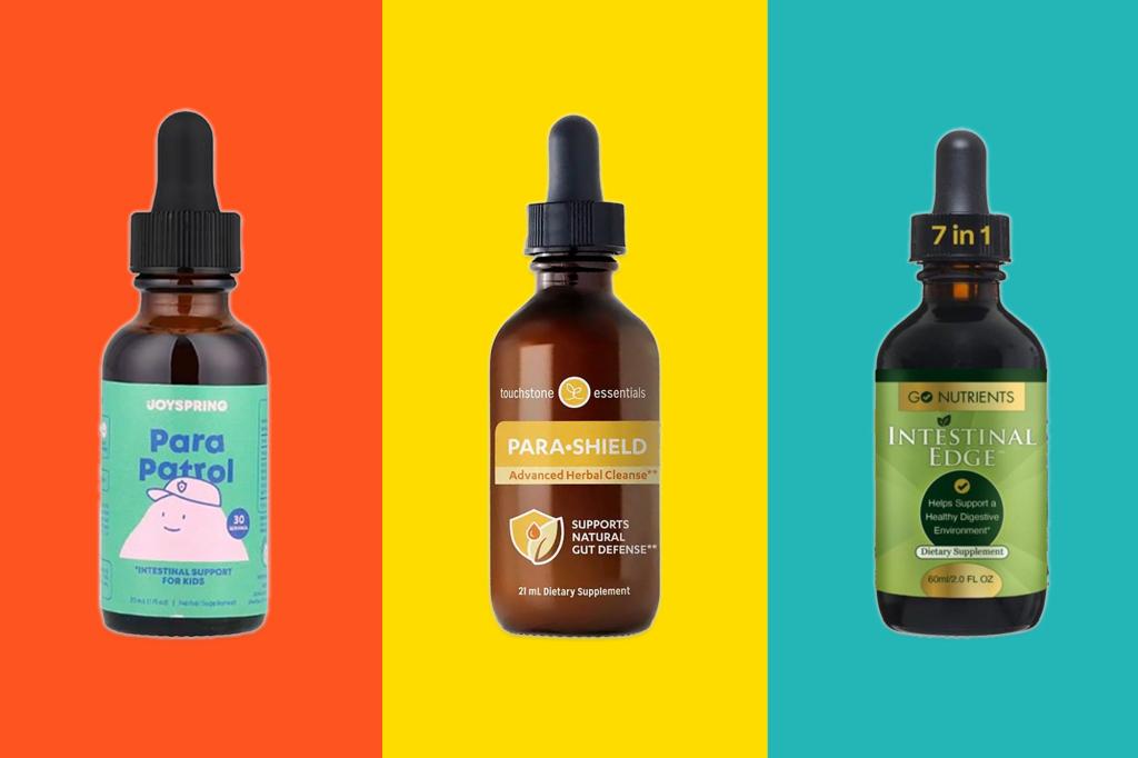 The best parasite cleanses and how they work, per experts