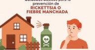 Fiebre manchada puede ser mortal: alertan por riesgo de Rickettsia en personas, perros y gatos en Sonora