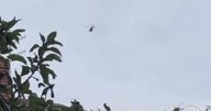 Helicopter circled over Bristol in hunt for 'youth' on green motorbike