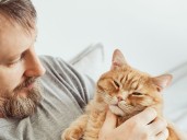 Así impacta en nuestro cerebro tener un gato como mascota