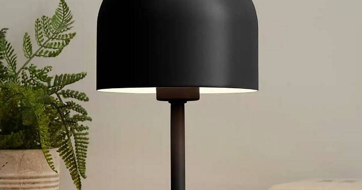 Dunelm shoppers snapping up £25 rechargeable lamps for 'no socket areas'