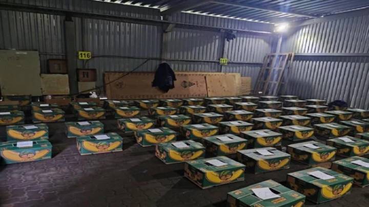 Rusia incauta cocaína en un barco bananero procedente de Ecuador