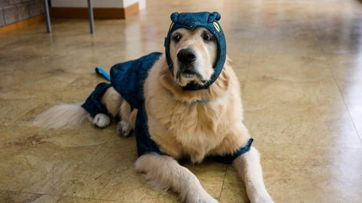 Halloween costumes that will offend absolutely no one