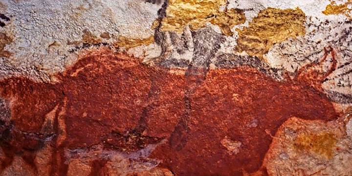 Los cuatro adolescentes que buscaban un perro perdido en una zona montañosa y descubrieron una cueva que atesoraba arte rupestre