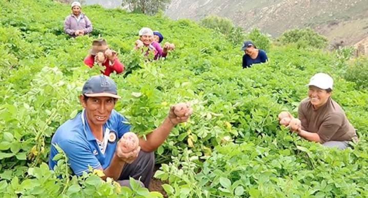Sodexo: el 82% de la compra a proveedores va dirigido al sector minero