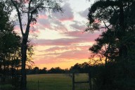 Why East Texas Is the Best Place in Texas