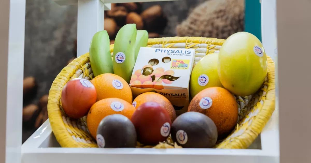 Estos productos colombianos podrían entrar a Estados Unidos sin aranceles