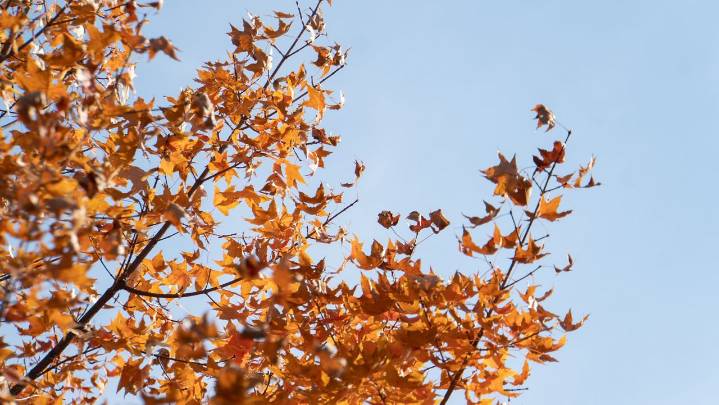 Welcome to meteorological fall
