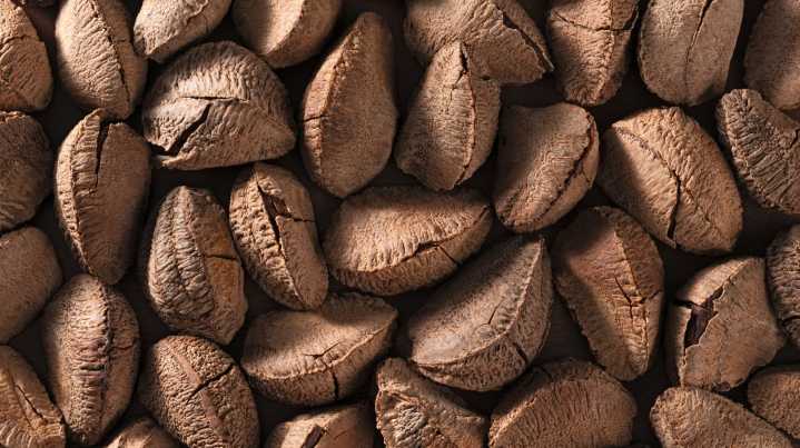 George Washington's Favorite Snack Probably Didn't Help Out His Teeth