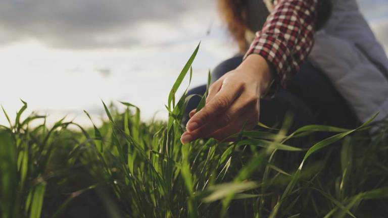 Incremento planteado a agricultura en Paquete Económico 2026 es insuficiente: Unidad Campesina