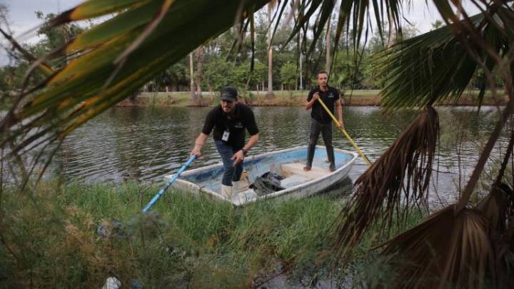 Realizan limpieza y dan un respiro a la Laguna del Camarón en Mazatlán