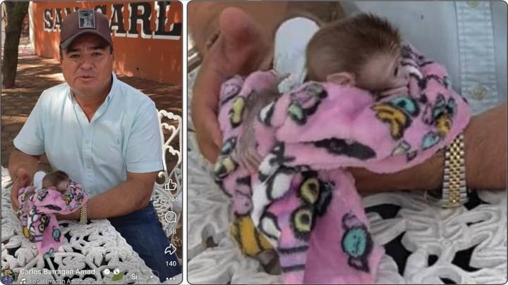 Olimpia Coral denuncia al alcalde de Xicotepec por presunto abuso de animales