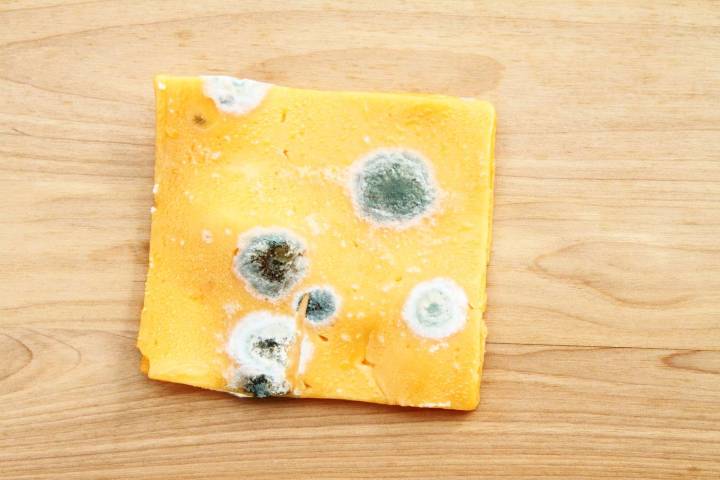 Is It Safe to Eat Moldy Cheese?