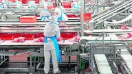 Las grandes cifras del sector porcino en Aragón... y en China: de la producción a la exportación