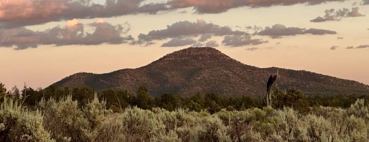 Interior Proposes to Scrub Biden-Era Land Conservation Rule