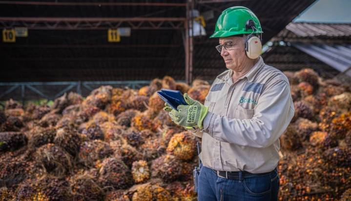 Gremca, primera palmicultora en el mundo en certificar sus productos como libres de deforestación