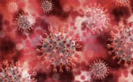 Epidemias y pandemias