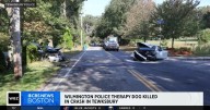Police therapy dog Zena killed in crash