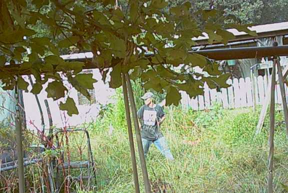 Graves deputies seek identity of theft suspect caught on camera