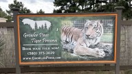 Caretaker killed in tiger accident at Oklahoma animal preserve