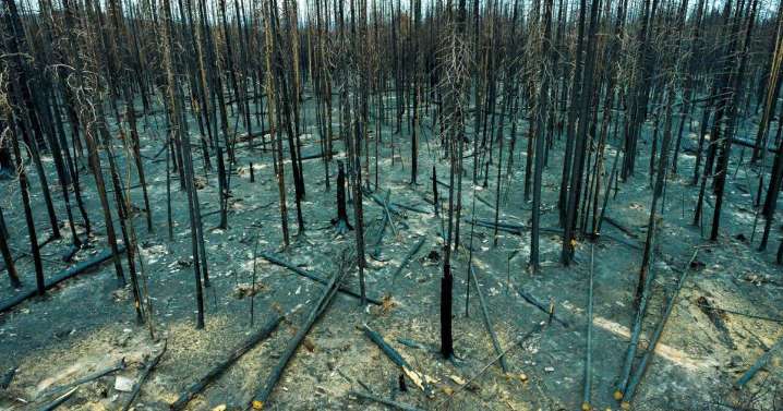 Wyoming study shows people want more focus on fire prevention