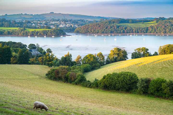 Leave the countryside alone