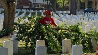 Saluting Branches: Arborists volunteer at Zachary Taylor National
