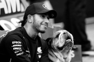 Qué dijo Lewis Hamilton sobre la muerte de su perro Roscoe